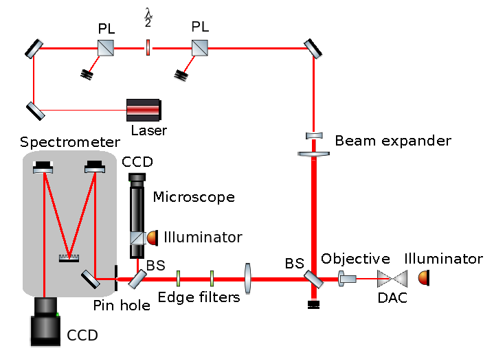 Raman spectroscopy instrument