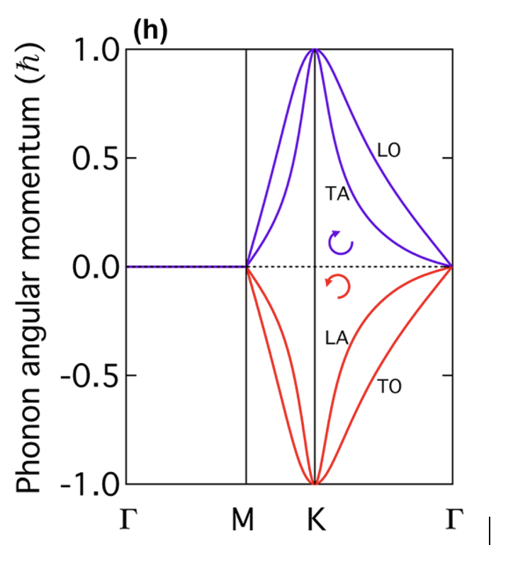 Chiral phonons and magnons