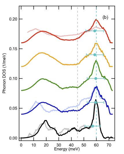 Phonons in low dimension