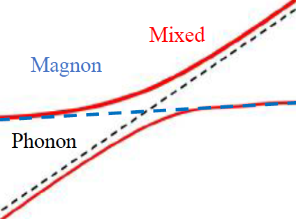 Spin-phonon interaction diagram